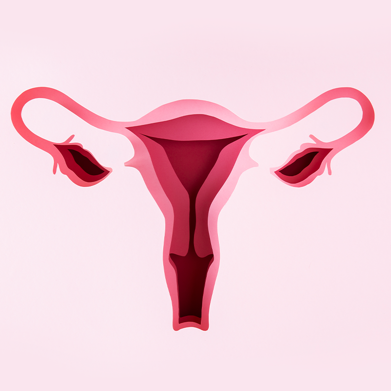 Leia mais sobre o artigo Endometriose, manifestação e tratamentos